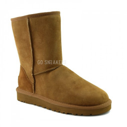 Men's Classic Short II Chestnut