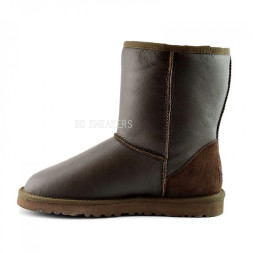 Men's Metallic Chocolate