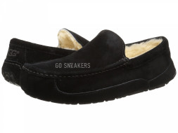 Men's Ascot Black