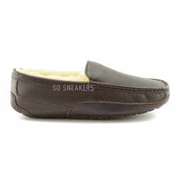 Men's Ascot Chocolate Leather