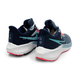 Nike Air Zoom Pegasus 39 Man Grey Blue