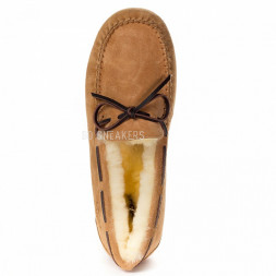 Dacota Chestnut