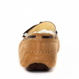 Dacota Chestnut